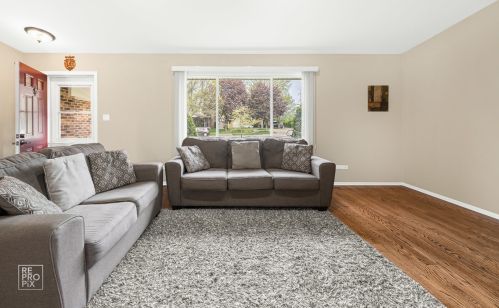 462 Carman Ave, Buffalo Grove, IL 60089-6901