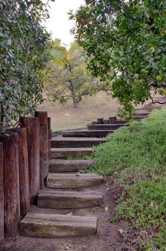 11491 Plantero Dr, Santa Ana CA 92705-3108 exterior