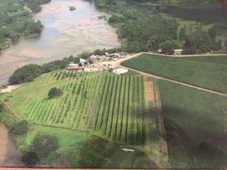 80023 490th Ave, Horace, NE 68875-5105