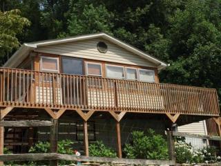 314 White Cove Rd, Unicoi, TN 37692-4226