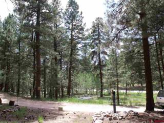24 Easy St, Vallecito, CO 81122-9750