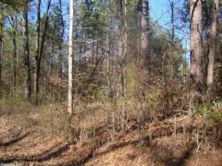 14336 Polk Rd, Alexander, AR 72002-8959