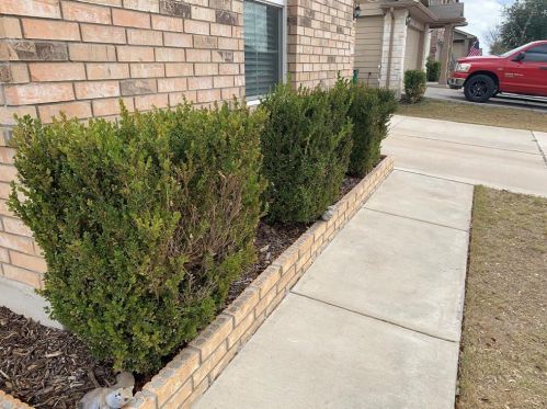 13228 Forest Sage St, Webberville TX  78653-5399 exterior