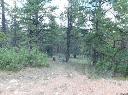 3555 Buckhorn Ln, Canon City CO 81212-8229 exterior