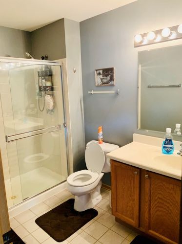 146 Goldenhill St, Carol Stream IL  60188-1303 exterior