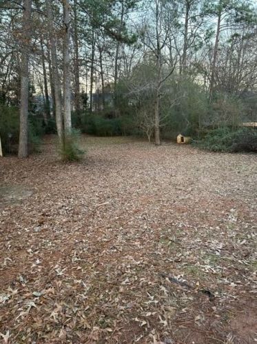 158 Jonesboro Rd, Mcdonough GA  30253-3901 exterior