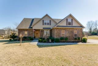 306 Fairway Trl, Springfield, TN 37172-4010