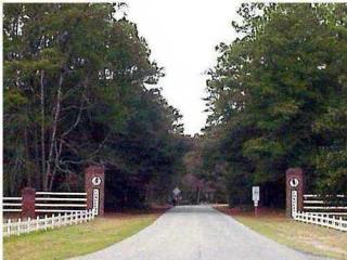 402 Auld Brass Rd, Walterboro SC  29488-2601 exterior