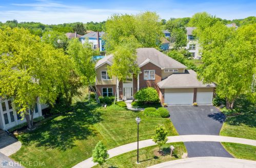 1244 Jack Pine Ct, Palatine, IL 60067-1895