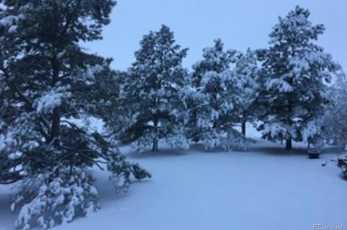 8385 Sunburst Trl, Parker CO 80134-6919 exterior