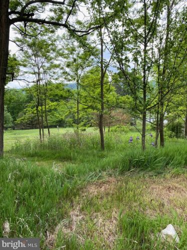 33 Blueberry Ln, Franklin WV  26807-8053 exterior