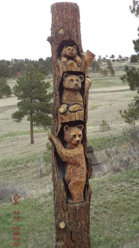 9815 Parker Rd, Parker CO 80134-9310 exterior