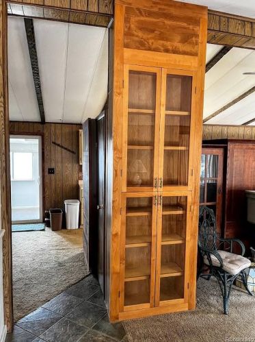 588 Coronado Dr, Deckers CO 80135-8316 exterior