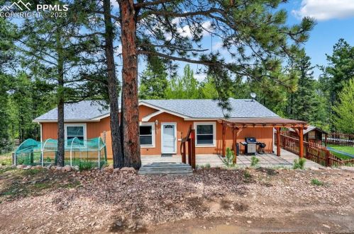 505 Badger Trl, Twin Rock, CO 80816-7007