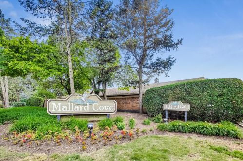 1116 New Wilke Rd, Arlington Hts IL  60005-2968 exterior
