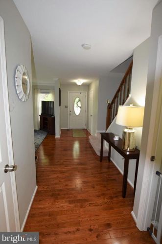 6100 Heron Pond Ct, Springfield VA  22015-3738 exterior