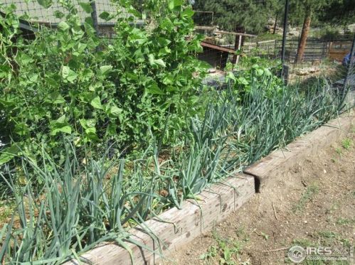 890 Fish Creek Rd, Estes Park CO 80517-5462 exterior