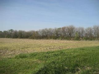 18601 Peotone Rd, Lorenzo, IL 60481-7700
