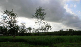 1107 Oak St, Refugio, TX 78377