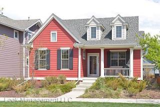 3404 Wabash St, Denver CO  80238-3381 exterior
