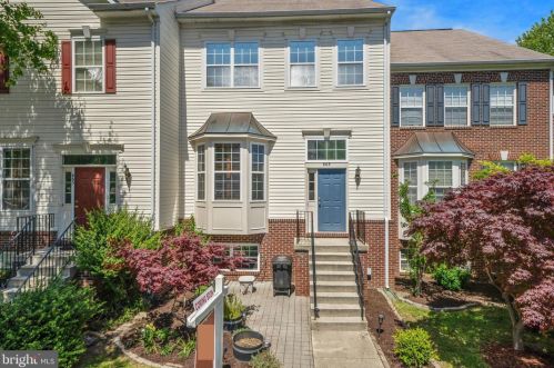 663 Mcleary Sq, Leesburg, VA 20175-5651