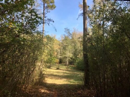 3432 Monica Ln, Conyers GA  30094-3933 exterior