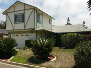 1789 Guevara Rd, Carlsbad, CA 92008-1020