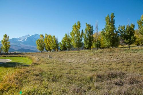 875 Perry Ridge Rd, El Jebel, CO 81623-3156