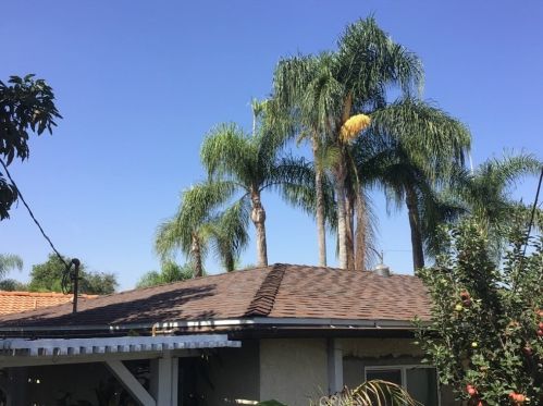 1302 Arlington Ave, Anaheim CA  92801-2003 exterior