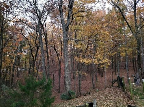 450 Richard Trl, Big Canoe, GA 30143-6406