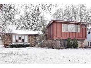 519 Lancers Dr, Addison IL  60101-1813 exterior