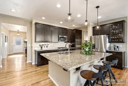 3838 Wild Elm Way, Fort Collins CO  80528-6902 exterior