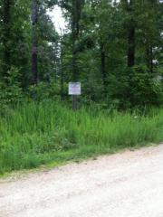 252 County Road 149, Elizabeth, AR 72531-9023