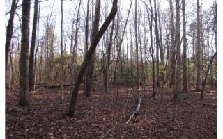 66 Red Oak Trl, Ellijay, GA 30540-3661
