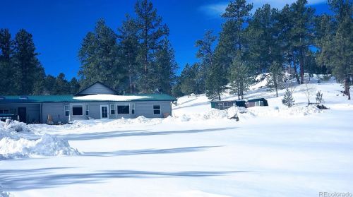 176 Horse Creek Cir, Tarryall, CO 80827-9042