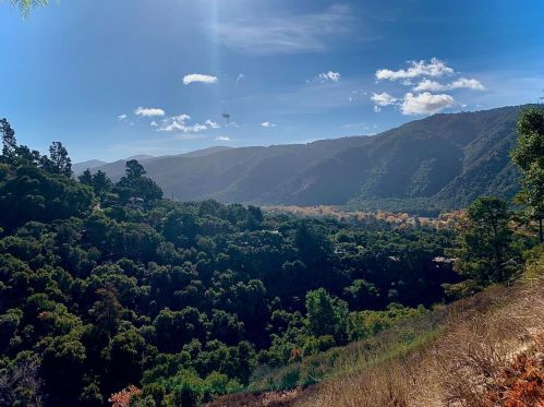 371 Ridge Way, Tassajara Hot Springs, CA 93924-9539
