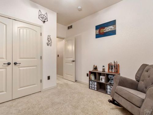 1117 Meadowmoor Dr, Pueblo CO  81007-2020 exterior