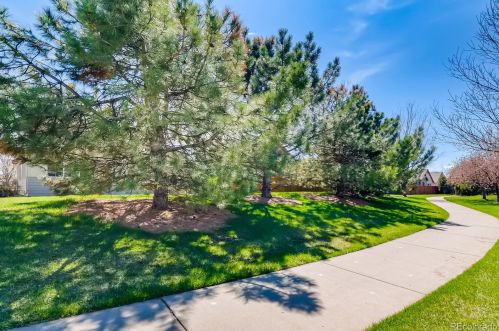 4692 Palamino Ln, Fort Collins CO  80524-6012 exterior