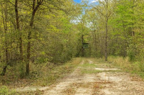 4488 Pond Town Rd, Brunson SC  29911-3801 exterior