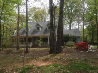 2959 Wildrose Ct, Hampton, GA 30228-1629