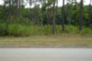 1333 Tanyard Creek Dr, Harlem, GA 30824-7022