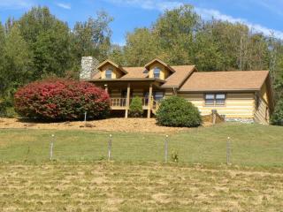 259 Max Thompson Rd, Canton, NC 28716-7642