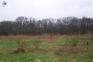 775 Wood Ridge Ln, Argyle, IL 61011-9100