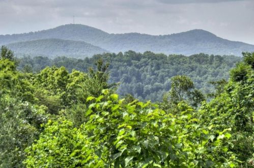 354 Seneca Dr, Ellijay, GA 30540-0640