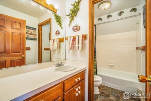 1601 Zermatt Trl, Estes Park CO exterior