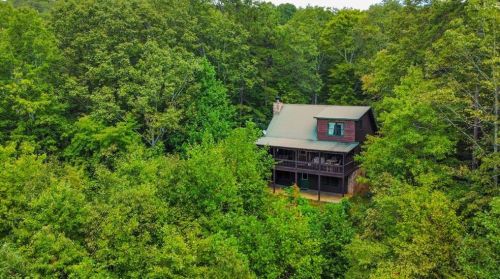 30 Lakota Ln, Mineral Bluff, GA 30559-2502