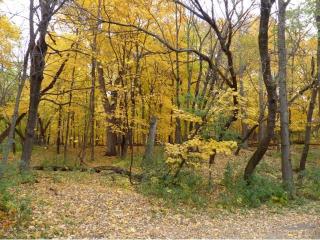 16615 Hidden Valley Rd, Hopkins, MN