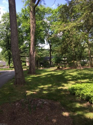 48 Ironia Rd, Dover, NJ 07869-3918