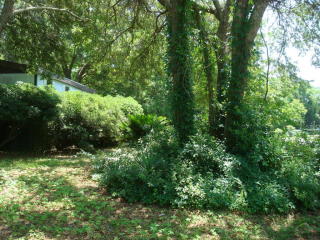 2006 Covey Ln, Charleston, SC 29412-9528