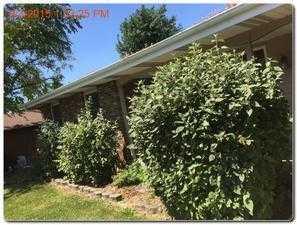 10836 Bryant Rd, Mokena, IL 60448-1109
